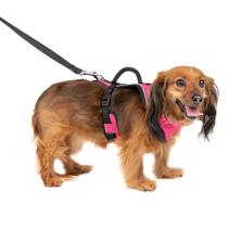 Arnês para cães PetSafe EasySport Pink Extra Small Arnês para cães PetSafe EasySport Pink Extra Small