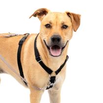 Arnês para cães PetSafe Sure-Fit Training Aid Tactical Black L