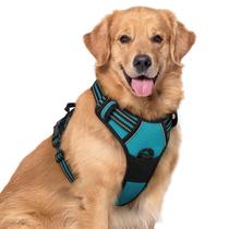 Arnês para cães rabbitgoo No Pull Adjustable Teal XL Arnês para cães rabbitgoo No Pull Adjustable Teal XL