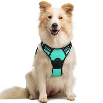 Arnês para cães rabbitgoo No Pull Adjustable Turquoise M Arnês para cães rabbitgoo No Pull Adjustable Turquoise M