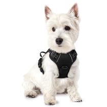 Arnês para cães rabbitgoo No Pull Adjustable XS Black
