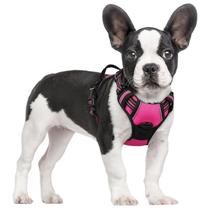 Arnês para cães rabbitgoo No Pull ajustável rosa choque S Arnês para cães rabbitgoo No Pull ajustável rosa choque S