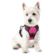 Arnês para cães rabbitgoo No Pull ajustável rosa choque XS Arnês para cães rabbitgoo No Pull ajustável rosa choque XS