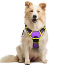 Arnês para cães rabbitgoo No Pull ajustável roxo e amarelo M Arnês para cães rabbitgoo No Pull ajustável roxo e amarelo M