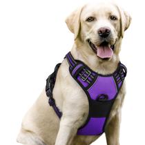 Arnês para cães rabbitgoo No Pull ajustável roxo para cães grandes Arnês para cães rabbitgoo No Pull ajustável roxo para cães grandes