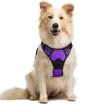 Arnês para cães rabbitgoo No Pull ajustável roxo para cães médios