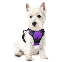 Arnês para cães rabbitgoo No Pull ajustável roxo para cães XS Arnês para cães rabbitgoo No Pull ajustável roxo para cães XS