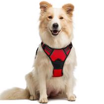 Arnês para cães rabbitgoo No Pull, ajustável, vermelho para cães médios Arnês para cães rabbitgoo No Pull, ajustável, vermelho para cães médios