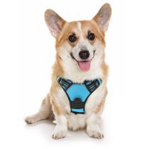 Arnês para cães rabbitgoo No-Pull Pet Harness azul para cães médios