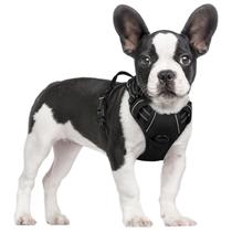 Arnês para Cães Rabbitgoo No-Pull - Tamanho P - Preto Arnês para Cães Rabbitgoo No-Pull - Tamanho P - Preto