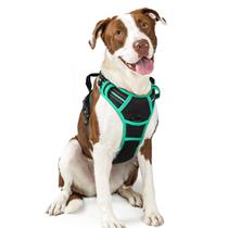 Arnês para cães rabbitgoo sem tração ajustável para cães grandes Arnês para cães rabbitgoo sem tração ajustável para cães grandes