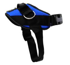 Arnês para cães ShawnCo Essential Electric Blue para cães (M)
