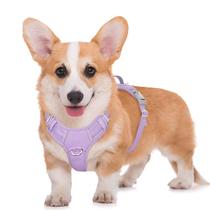 Arnês refletivo para cães BARKBAY No Pull com bolso de identificação (roxo violeta, M) Arnês refletivo para cães BARKBAY No Pull com bolso de identificação (roxo violeta, M)