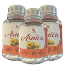 Arnica - 60 Cápsulas 500Mg Kit Com 3 Potes