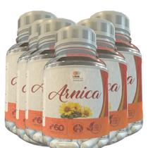 Arnica - 60 Cápsulas 500Mg Kit Com 6 Potes - Lider Vendas