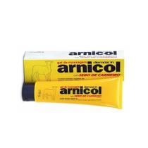 Arnicol Gel de Massagem Sebo de Carneiro 150g Arnicol Gel de Massagem Sebo de Carneiro 150g