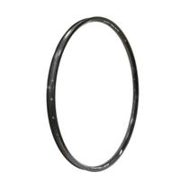 Aro absolute wild disc 29 tubeless ready 28f