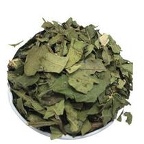 Aroeira Folha 100gr (Erva Desidratada) Aroeira Folha 100gr (Erva Desidratada)