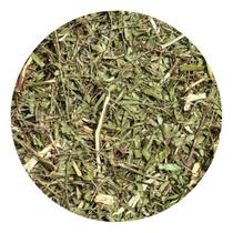 Aroeira Salsa 250g (Erva Desidratada) Aroeira Salsa 250g (Erva Desidratada)