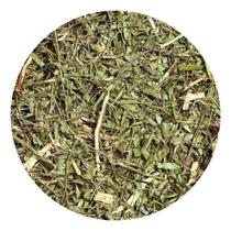 Aroeira Salsa 250gr (Erva Desidratada)