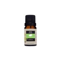 Aromas Florais, Cítricos e Amadeirados para Sua Rotina Aromas Florais, Cítricos e Amadeirados para Sua Rotina