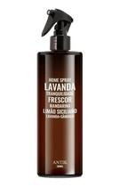 Aromatizador Ambiente Lavanda Antik Home Spray 500ml Aromatizador Ambiente Lavanda Antik Home Spray 500ml
