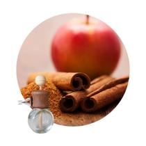 Aromatizador Veicular Cheirinho Carro