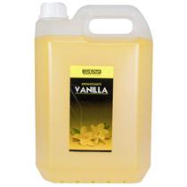 Aromatizante EVO Auto Vanilla - 5 Litros