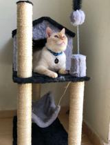 Arranhador de gato casa - Tundera Pet