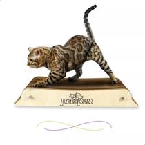 Arranhador Para Gatos Caminha Pet Multiuso Resistente Arranhador Para Gatos Caminha Pet Multiuso Resistente