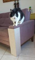 Arranhador Protetor Gato p Sofá 55cm ALT em MDF e Fibra de Linho mais durável
