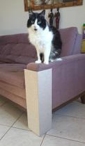 Arranhador Protetor Gato p Sofá 60cm ALT em MDF sem Solvente Quimico - Gato Verde