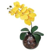 Arranjo 1 Orquídea Real Amarelo Delicada Vaso Vidro Terrário