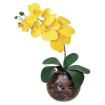 Arranjo 1 Orquídea Real Amarelo Delicada Vaso Vidro Terrário - La Caza Store