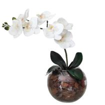 Arranjo 1 Orquídea Real Branca Delicada Vaso Vidro Terrário