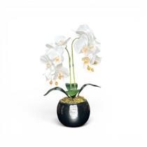 Arranjo 2 Orquídeas Artificiais Brancas em Aquário Preto Pity Arranjo 2 Orquídeas Artificiais Brancas em Aquário Preto Pity