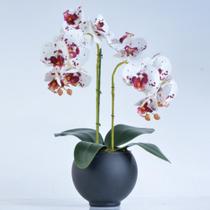 Arranjo 2 Orquídeas Tigre em Vaso Preto Fosco Mel