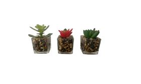 Arranjo 3 Suculentas Plantas Artificial Vaso Vidro Mix Tuut