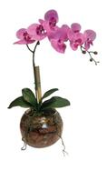 Arranjo Aquario Com Orquidea Rosa 40cm mod. 0407 Arranjo Aquario Com Orquidea Rosa 40cm mod. 0407