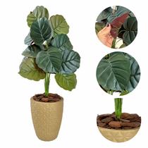 Arranjo Artificial Caladium Alocacia com Vaso Polietileno