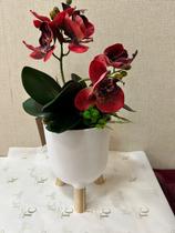 Arranjo Artificial Decorativo Orquídea Vermelha Mesclada em Vaso branco com Pés de madeira 38cm Arranjo Artificial Decorativo Orquídea Vermelha Mesclada em Vaso branco com Pés de madeira 38cm