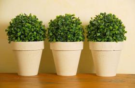 Arranjo artificial verde bolinha Arranjo artificial verde bolinha