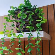 Arranjo C/ Vaso Dischidia Suculenta Artificial Arranjo C/ Vaso Dischidia Suculenta Artificial