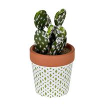 Arranjo Cactos C4 Grillo Arranjo Cactos C4 Grillo