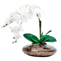 Arranjo Com 2 orquideas Flor Brancas realista Vaso terrário Arranjo Com 2 orquideas Flor Brancas realista Vaso terrário