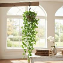 Arranjo com 3 Trepadeira Folha De Hera Vaso Trançado Marrom Pendente