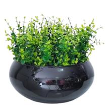 Arranjo Com Folhagem Verde Eucalipto Realista Vaso Preto Arranjo Com Folhagem Verde Eucalipto Realista Vaso Preto