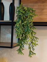 Arranjo com o vaso 2 plantas folhagem suculentas 65cm verde Arranjo com o vaso 2 plantas folhagem suculentas 65cm verde