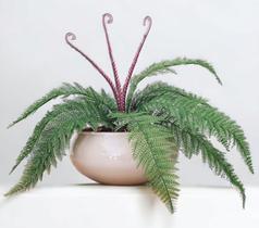 Arranjo com samambaia pendente verde folhagem e vaso nude Arranjo com samambaia pendente verde folhagem e vaso nude