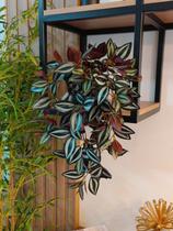 Arranjo com vaso planta folhagem verde pendentes trepadeiras folhas artificiais realistas decoração de prateleiras